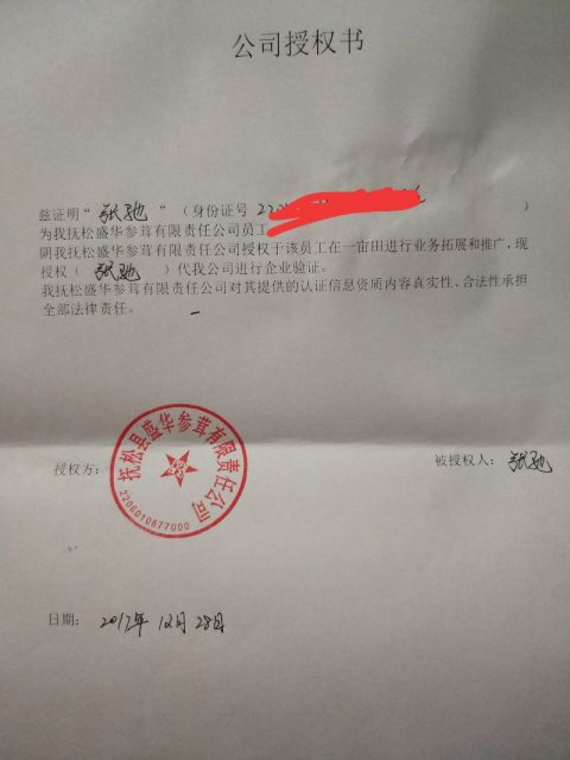 蒲公英根
