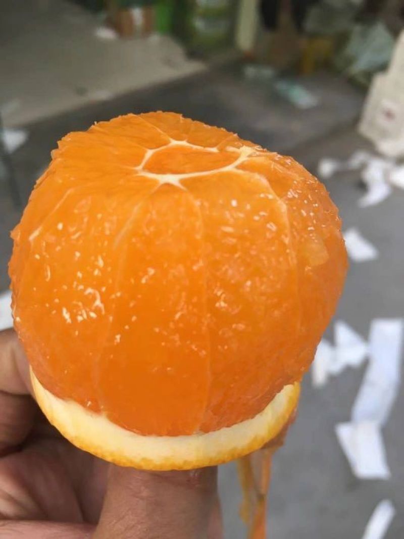 长虹脐橙，个头大皮毛光滑细腻，口感纯甜。
