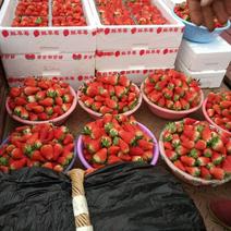 甜宝草莓30~40克