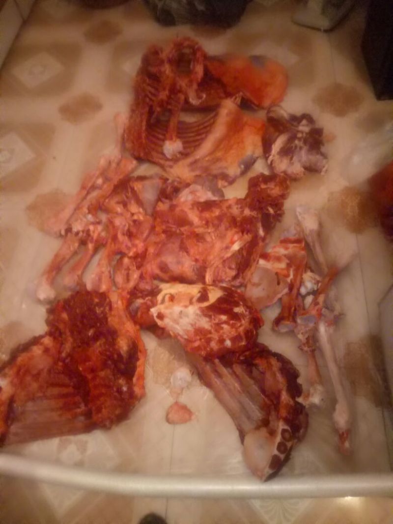 驴肉鲜货