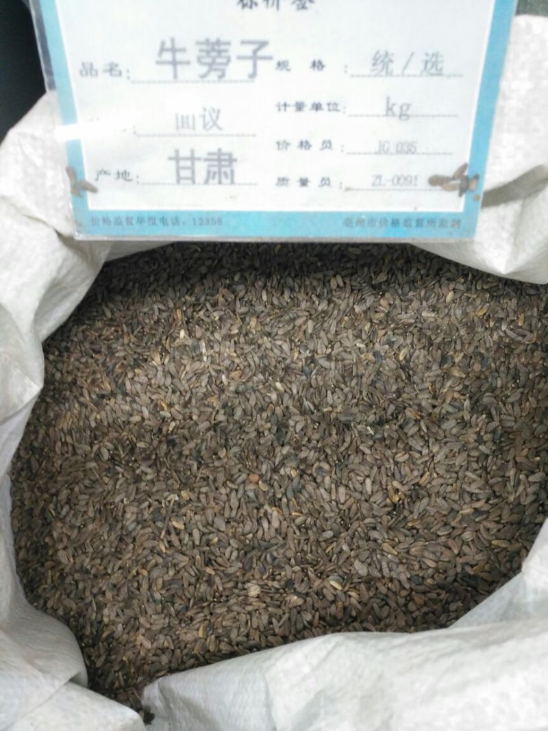 牛蒡子甘肃1公斤起批无硫无添加不包邮正品