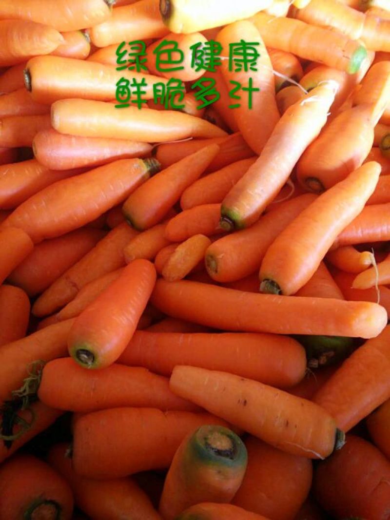 三红胡萝卜3两以上水洗15厘米以上红