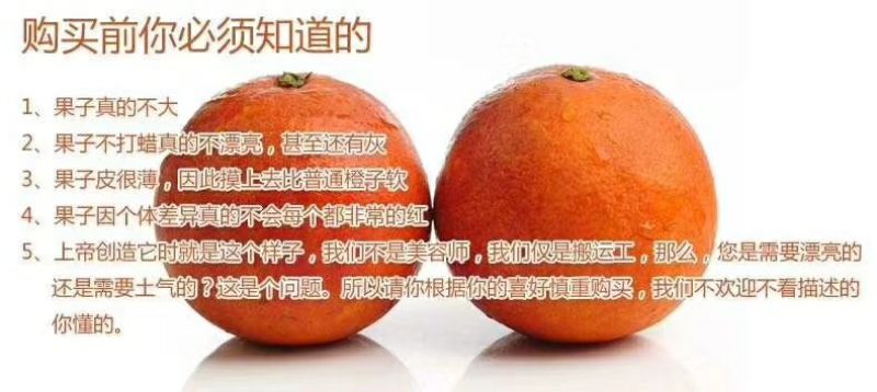 四川仁寿宝飞果园村塔罗科血橙65~70mm