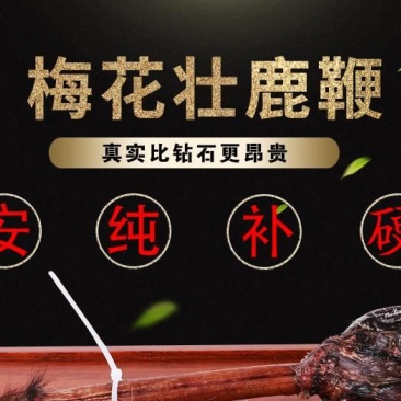 鹿鞭梅花鹿干梅花鹿鞭100克以上