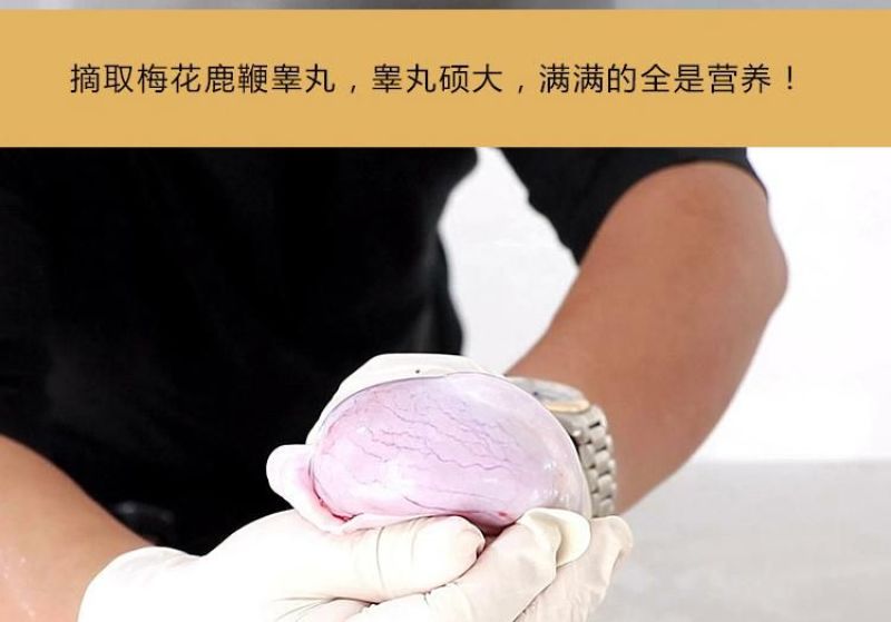 鹿鞭梅花鹿干梅花鹿鞭100克以上