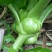 榨菜3两以上