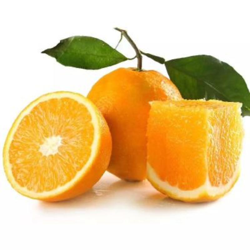 伦晚橙子/秭归脐橙/纽荷尔脐橙个头大/长虹脐橙
