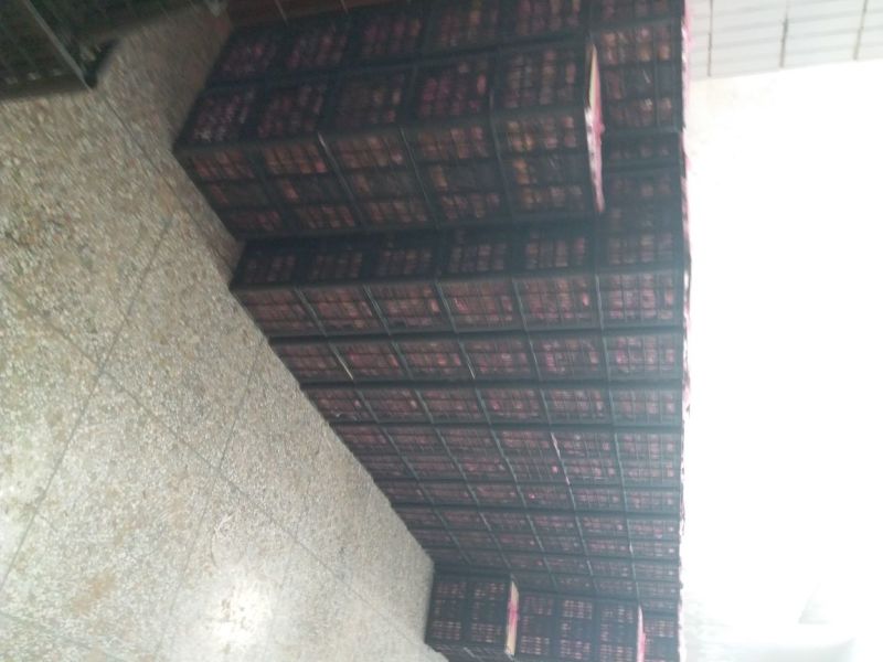 红富士苹果万亩果园75mm以上膜袋片红