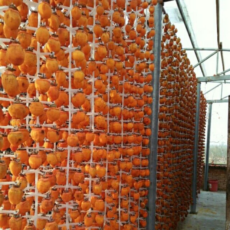 柿饼1~2两