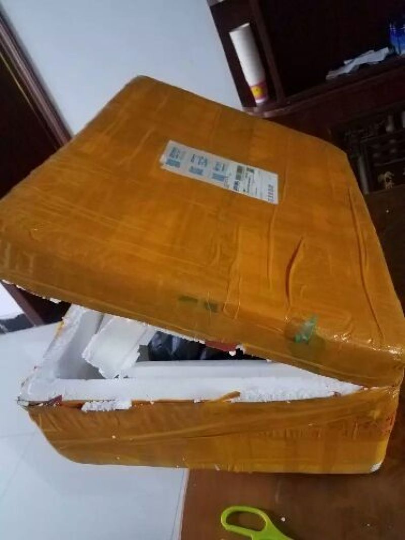 虾尾