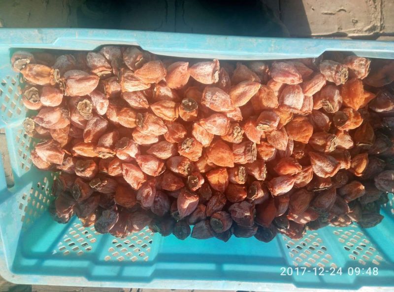 柿饼1两以下