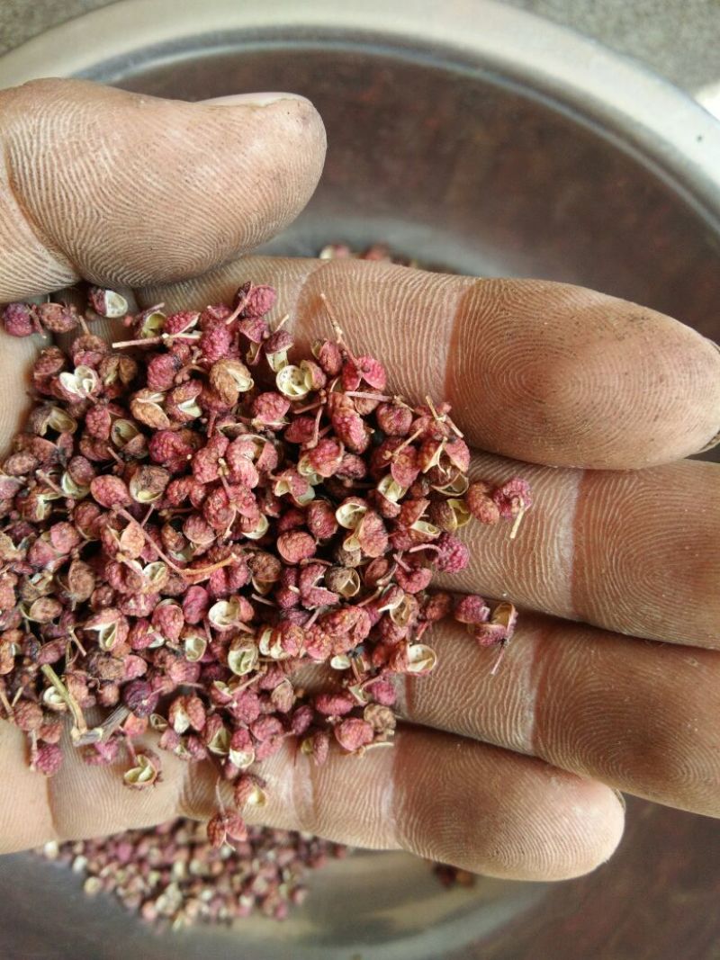 （特级精品）大红袍花椒一手货源、产地直销、量大优惠