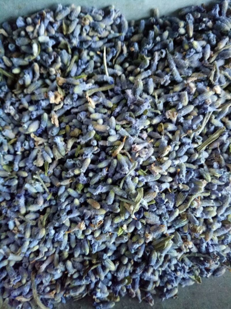 薰衣草新疆一级干货2斤起包邮