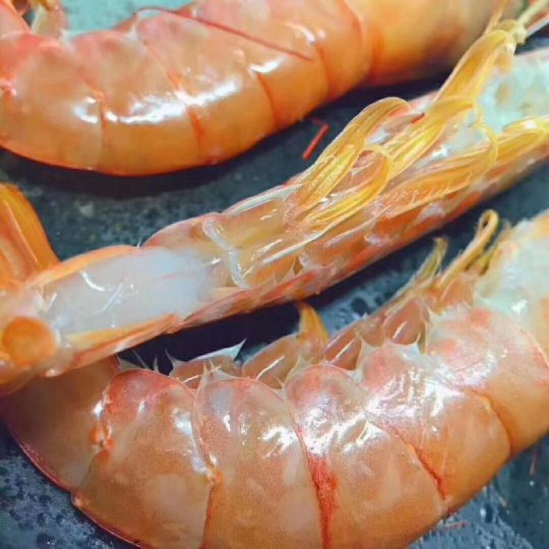 阿根廷红虾L1