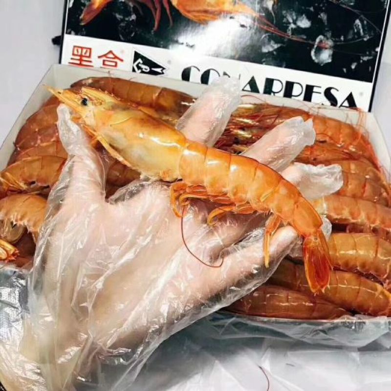 阿根廷红虾L1