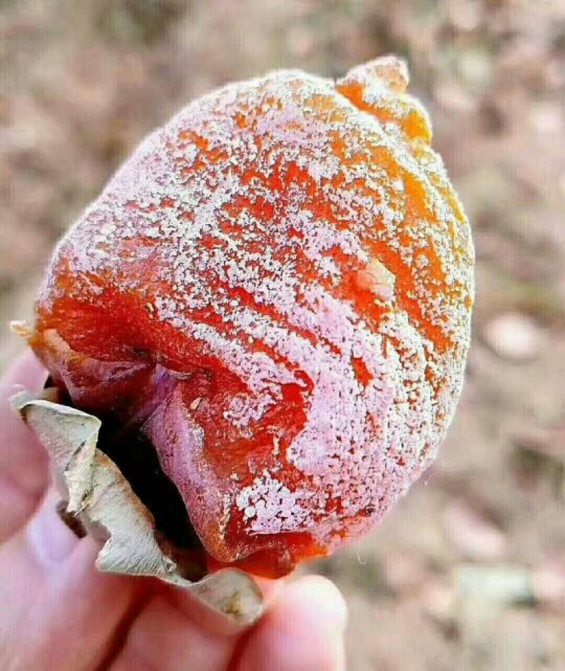 柿饼1~2两