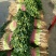 中叶铁杆青香菜原产地直供，商超**