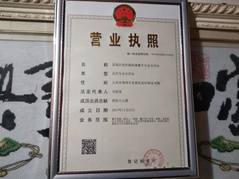 魔芋魔芋二代。提供技术指导，全国包邮周边送货。