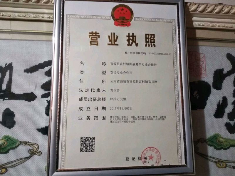 魔芋魔芋二代。提供技术指导，全国包邮周边送货。