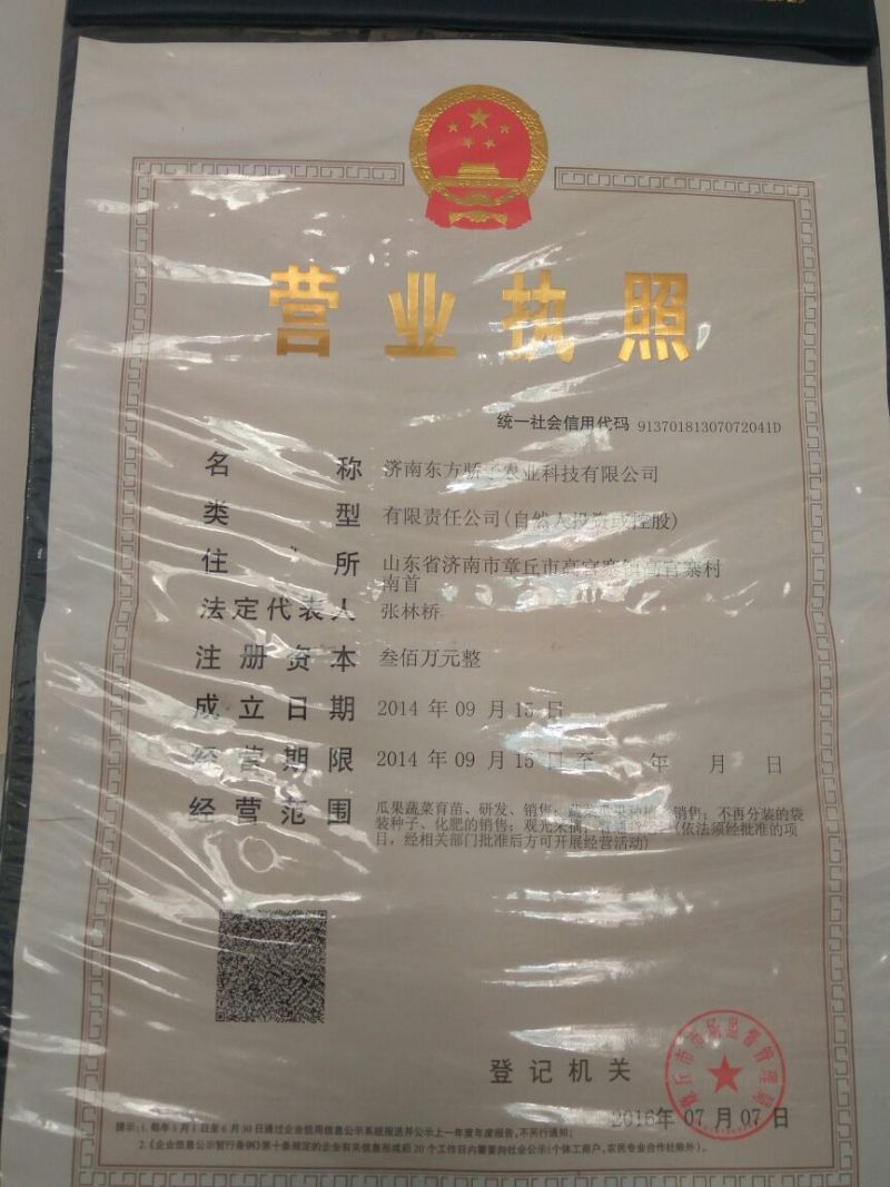 西瓜苗98%以上