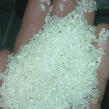 长粒香大米新米一级