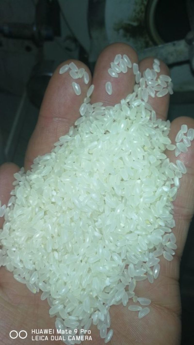 长粒香大米新米一级