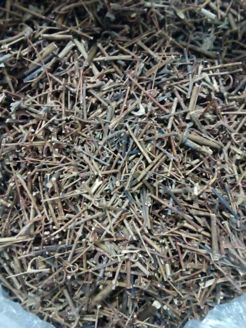 钩藤价格可议