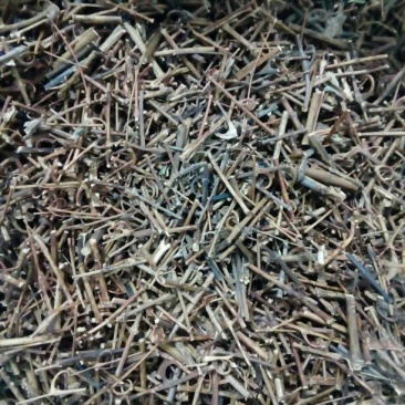 钩藤价格可议