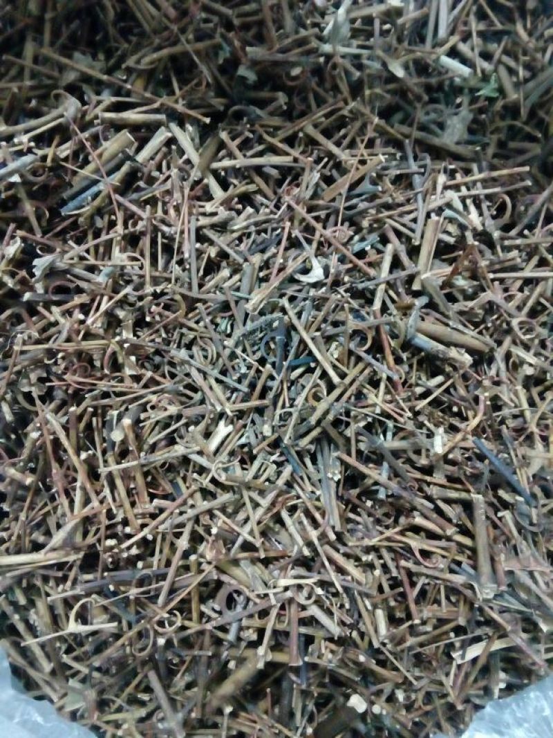 钩藤价格可议