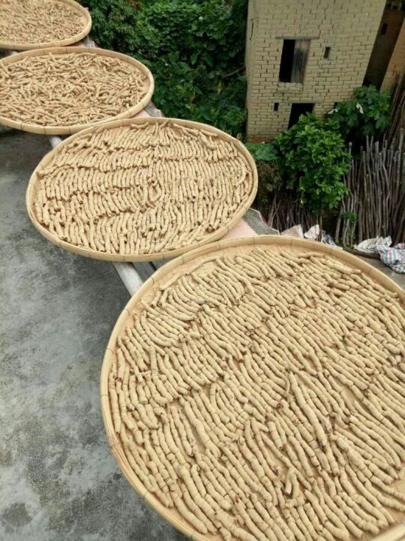 巴戟天特级