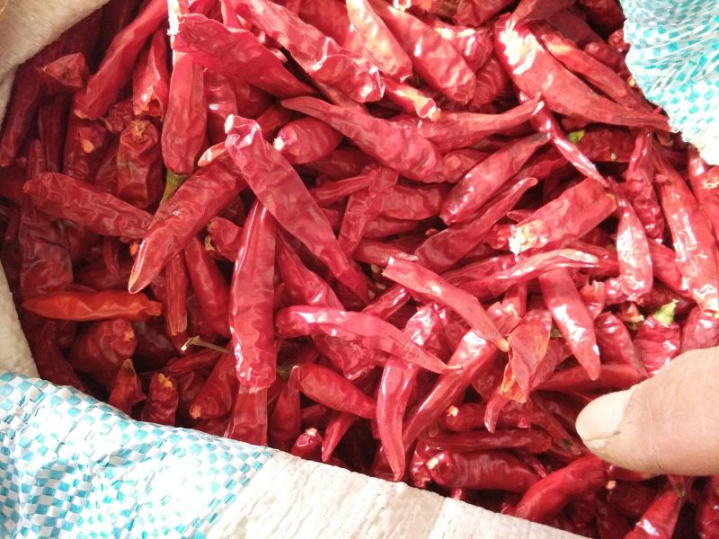 艳红干辣椒9成干以上上通货市场专营店专用