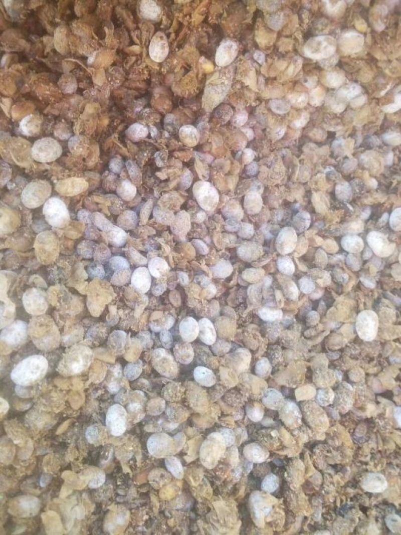 发酵大豆基地专供生物有机肥生物菌发酵大豆10%(0-0-