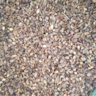 发酵大豆基地专供生物有机肥生物菌发酵大豆10%(0-0-