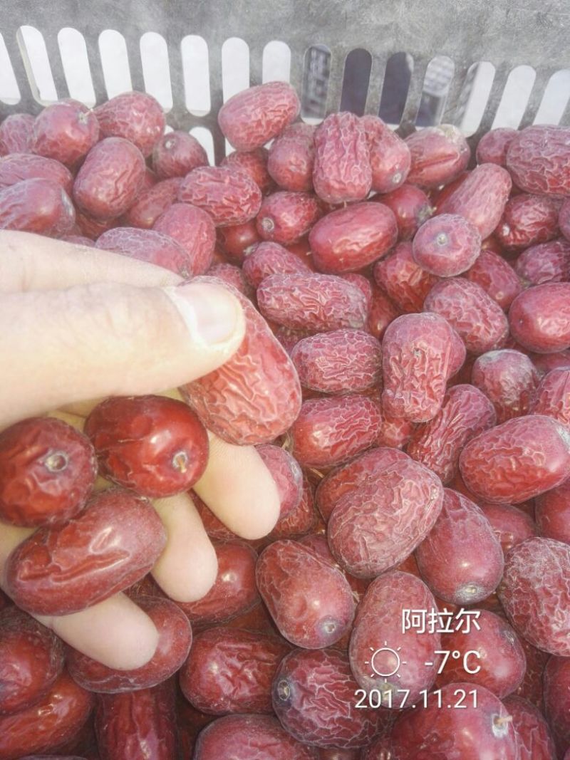 枣干散装