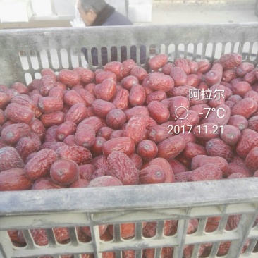 枣干散装