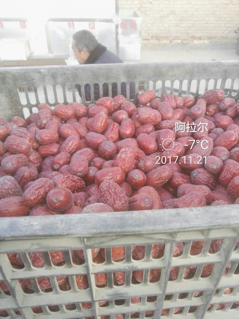 枣干散装