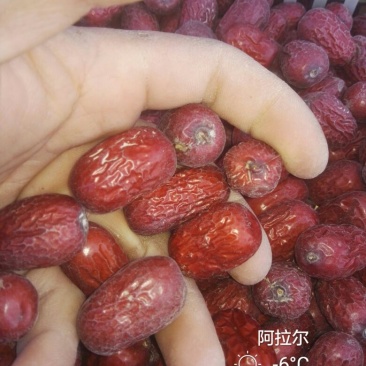 枣干散装