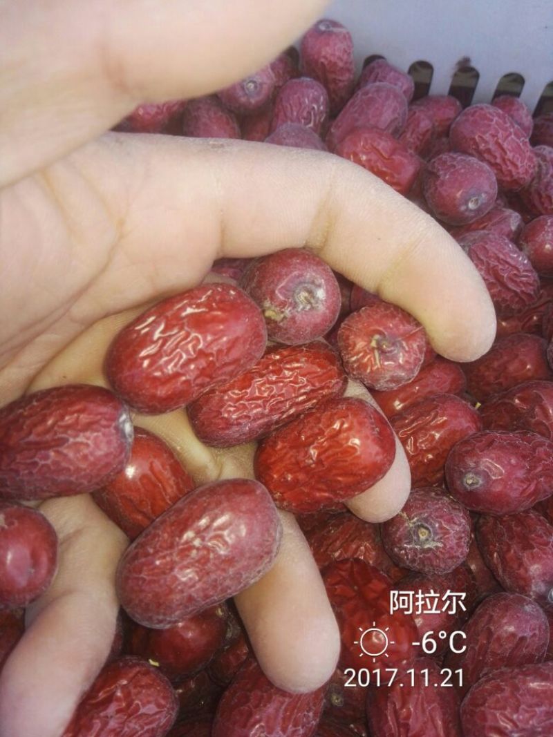 枣干散装