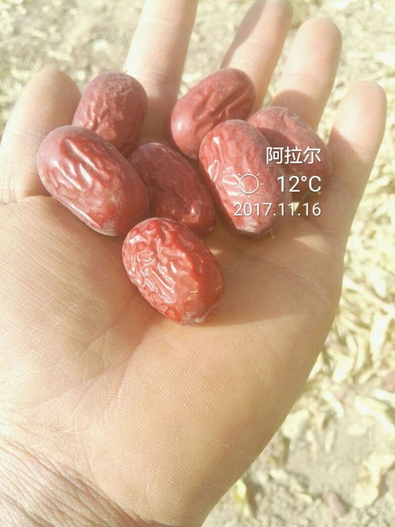 枣干散装