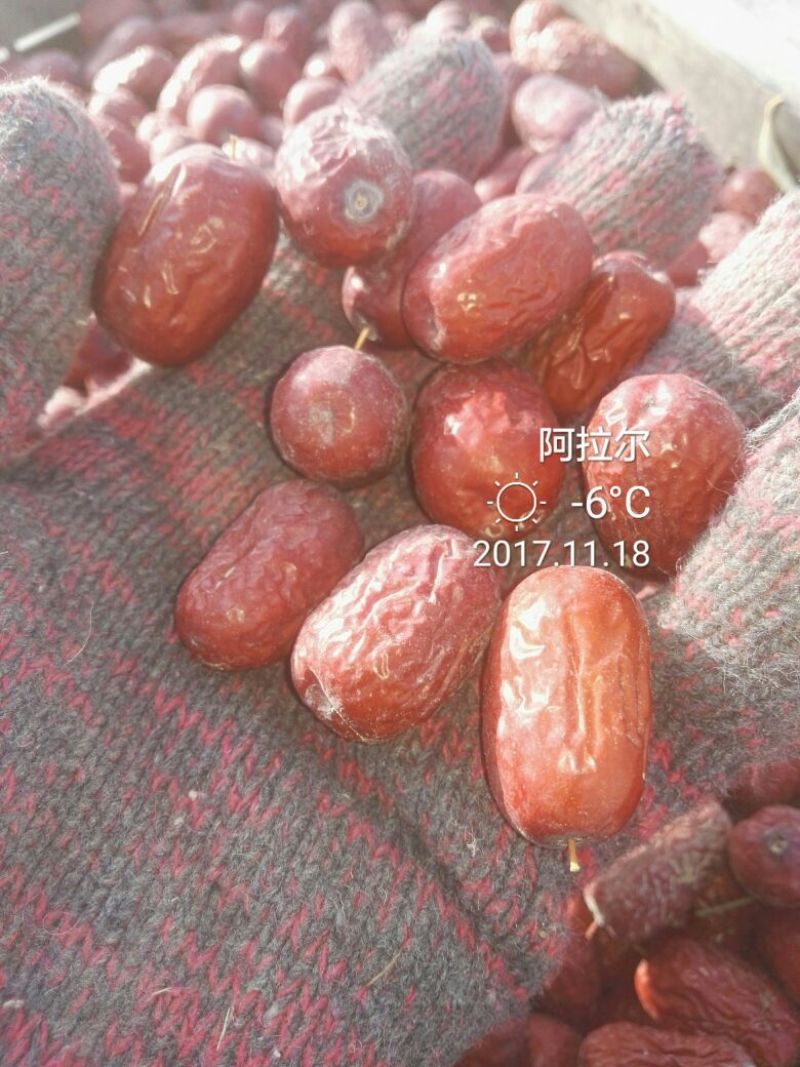 枣干散装