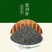 柴胡种子纯新籽90%以上春秋播种耐寒耐旱6斤/亩