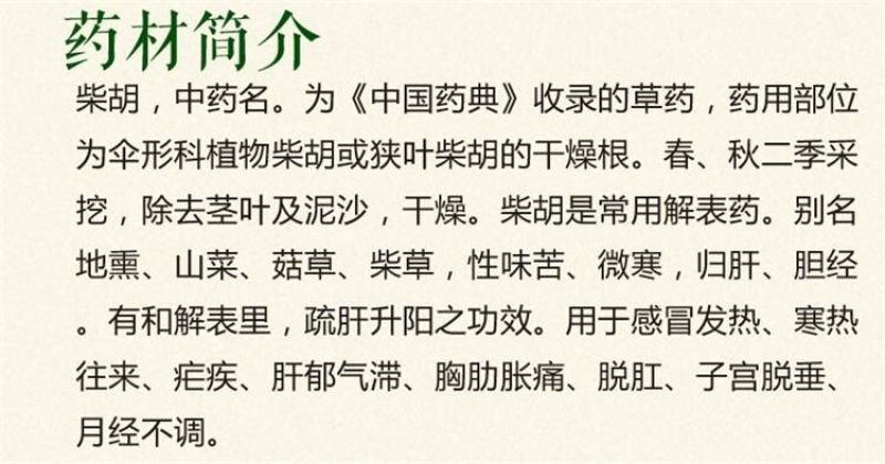 柴胡种子纯新籽90%以上春秋播种耐寒耐旱6斤/亩