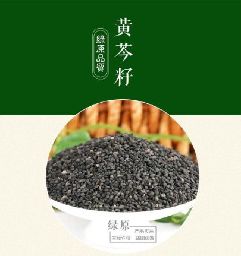 黄芩种子96%以上春秋播种4斤/亩耐寒耐旱管理简单