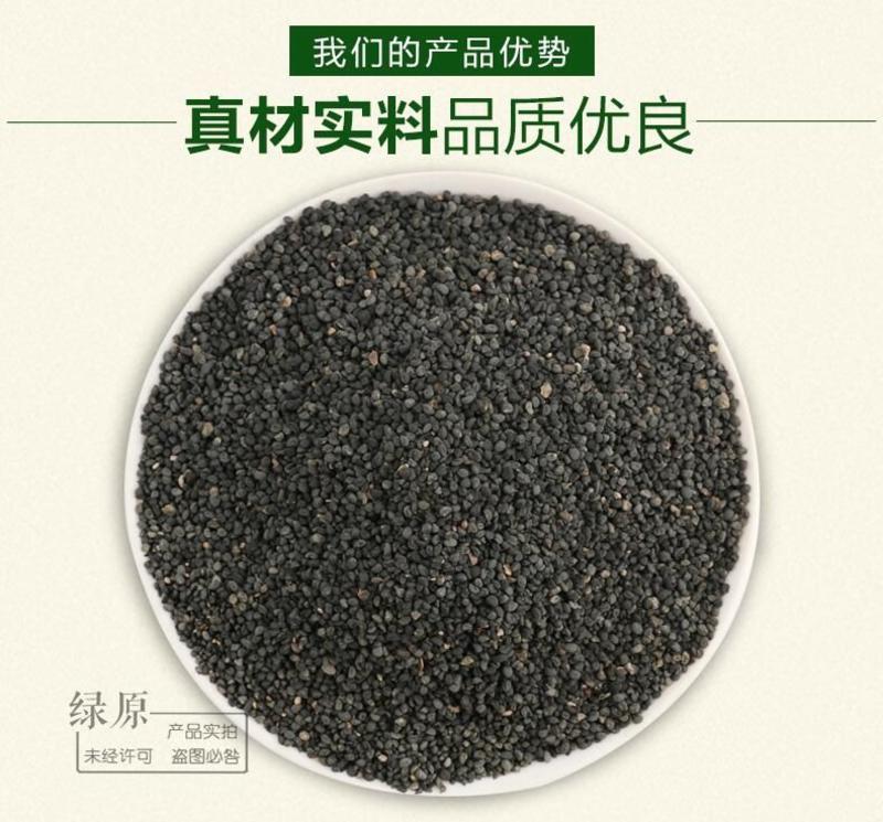 黄芩种子96%以上春秋播种4斤/亩耐寒耐旱管理简单