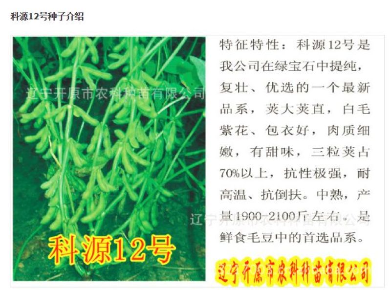 毛豆种子第三代开科源12号