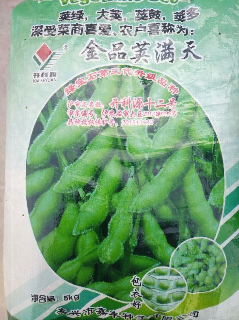 毛豆种子第三代开科源12号