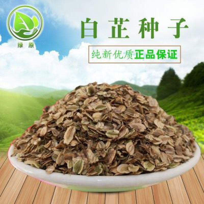 白芷种子纯新籽90%以上春季播种5斤/亩生长一年