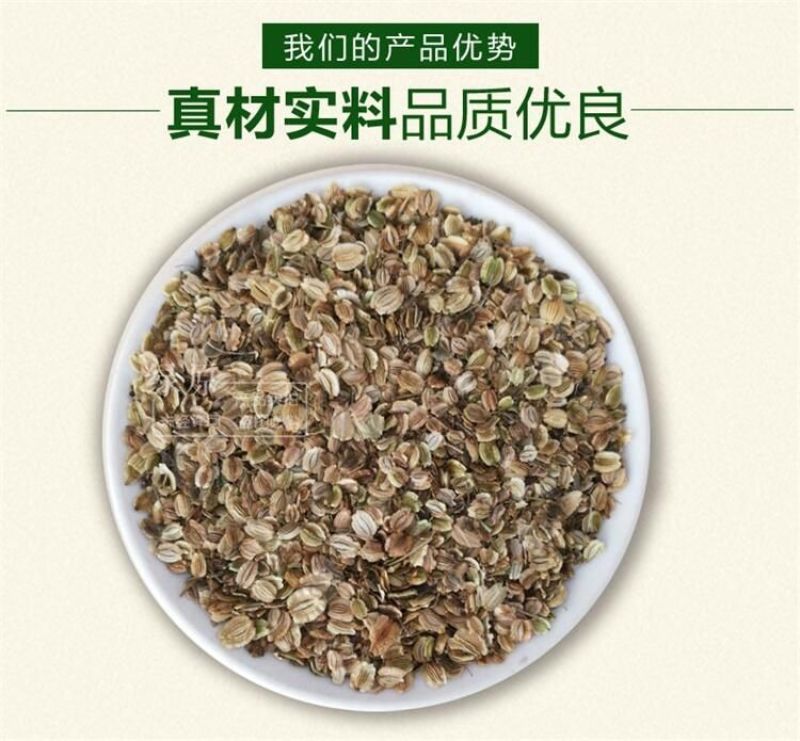白芷种子纯新籽90%以上春季播种5斤/亩生长一年