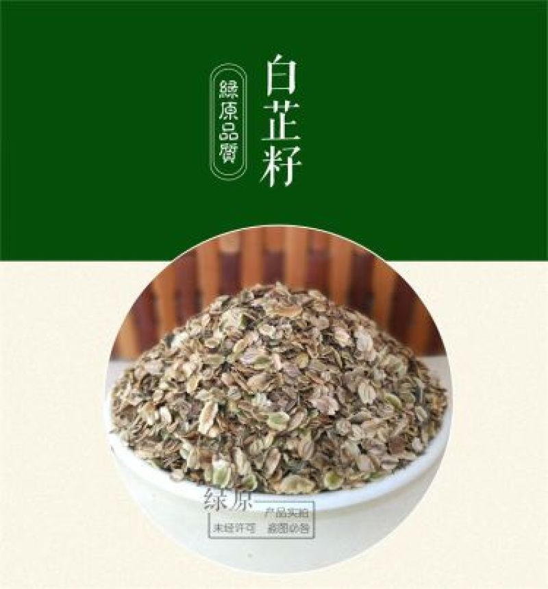 白芷种子纯新籽90%以上春季播种5斤/亩生长一年