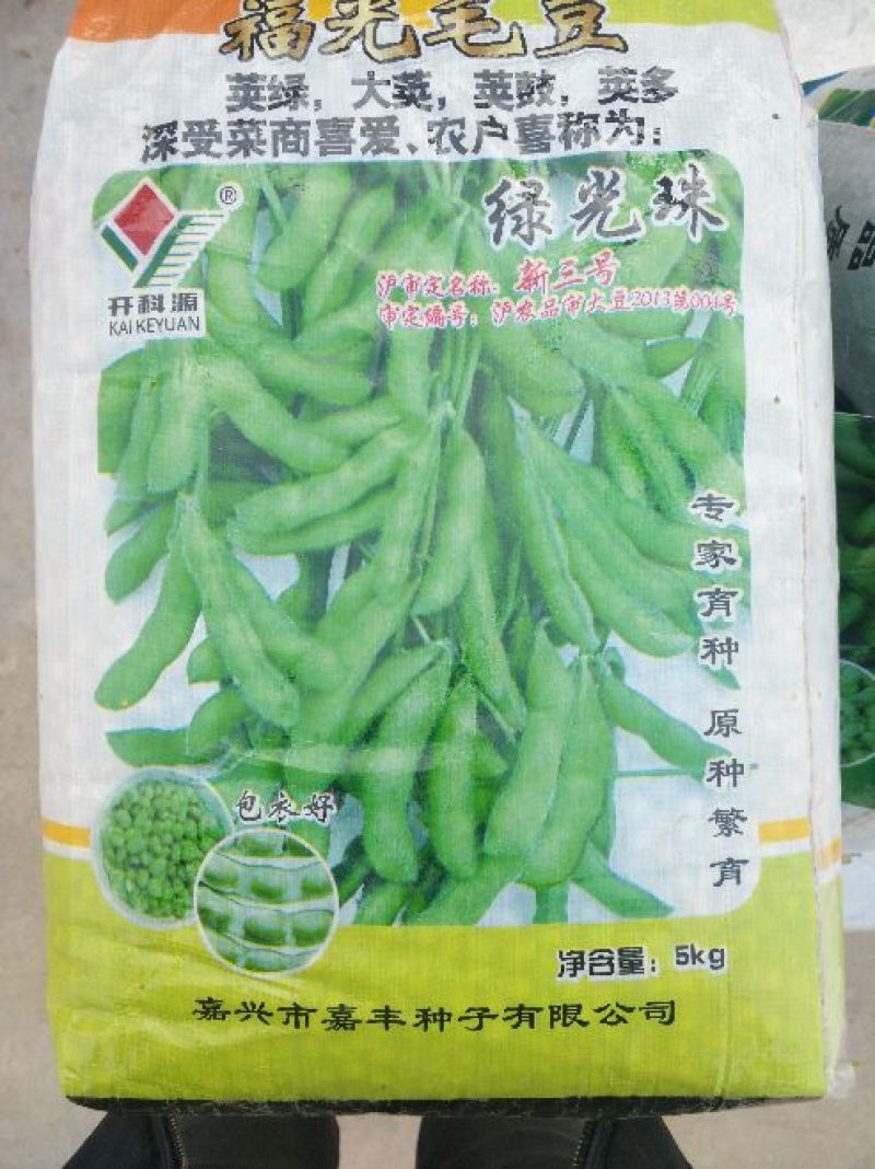 毛豆种子科源新3号~绿光珠